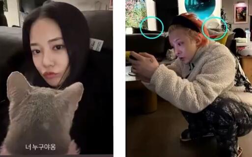 权志龙否认与李珠妍恋情传闻 此前两人曾被D社拍到